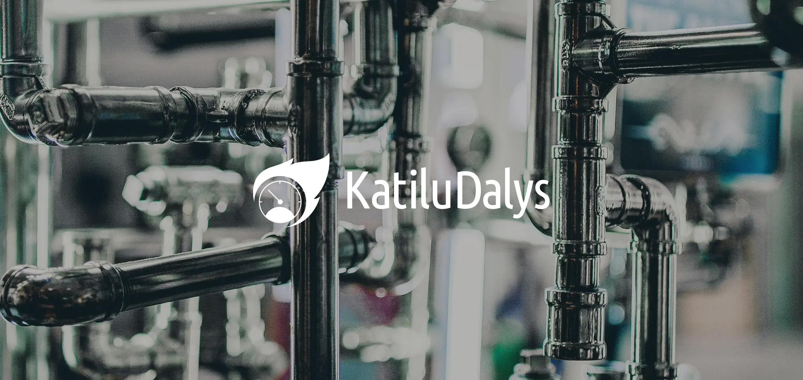 Katilu Dalys