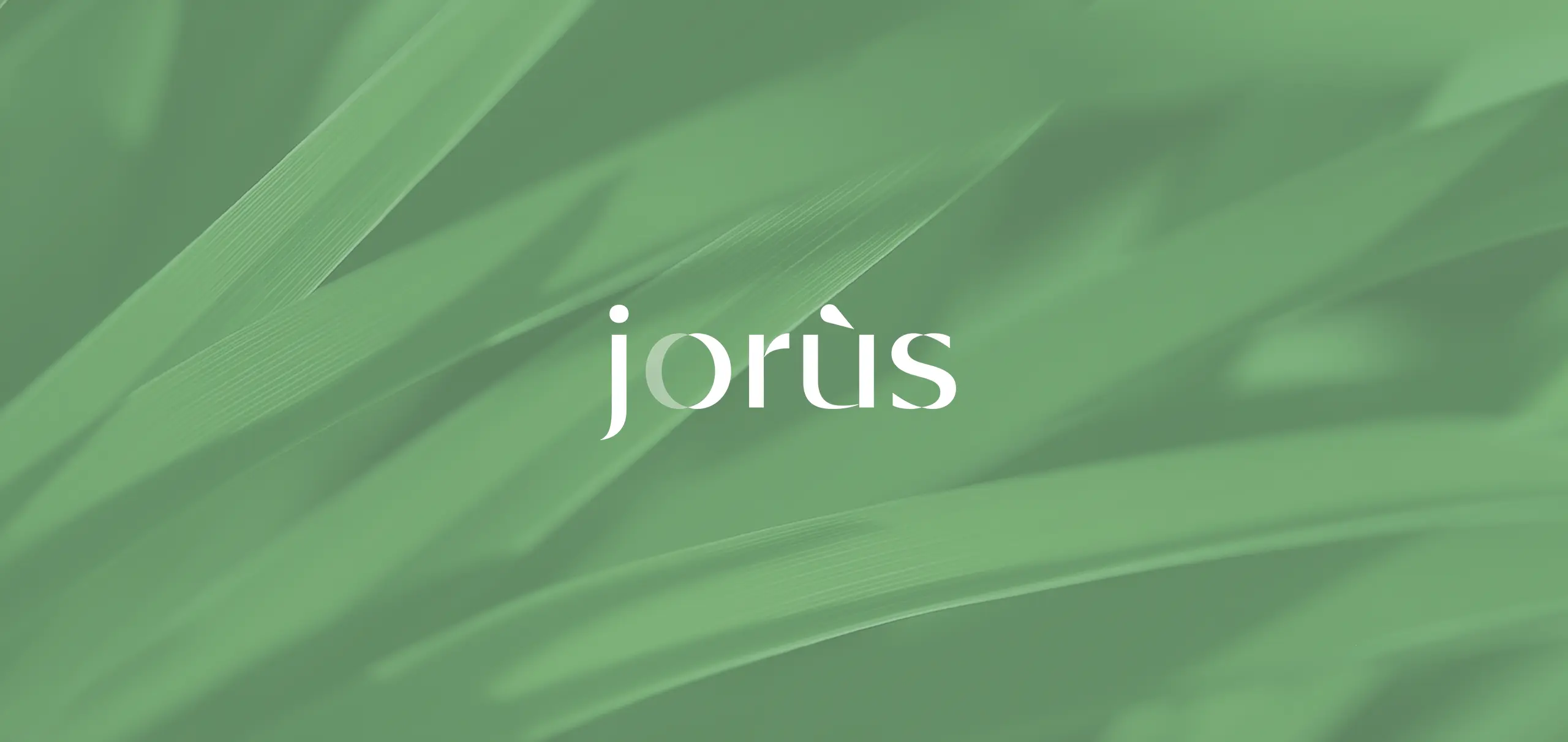 Jorus Website Revamp